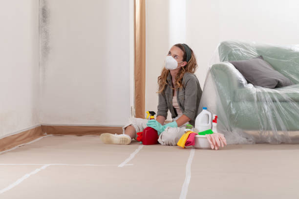 Reliable Mold Remediation contractor in Buckley, WA by 24 Hour Mold Removal